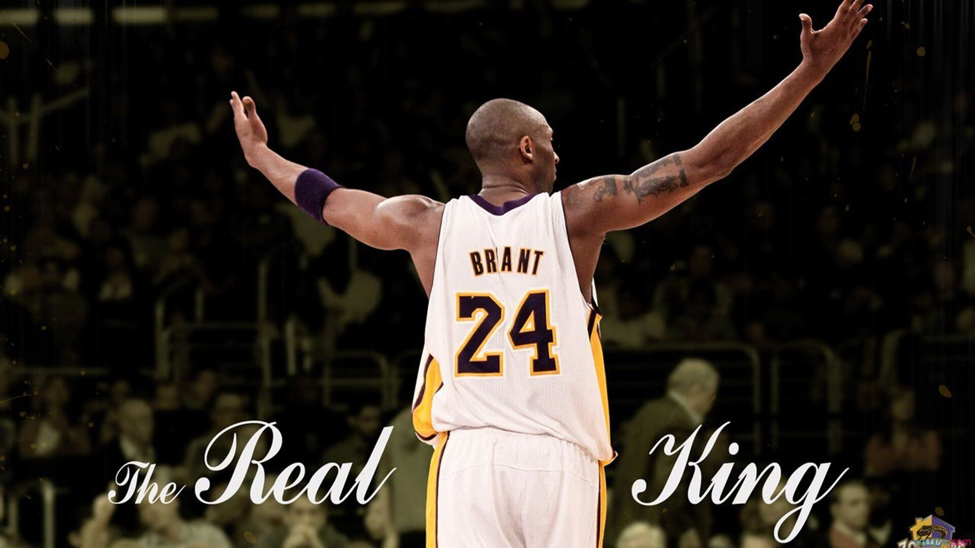 开云esports-青训体系的崛起：联盟未来的“摇篮”在哪里？，lol青训啥意思